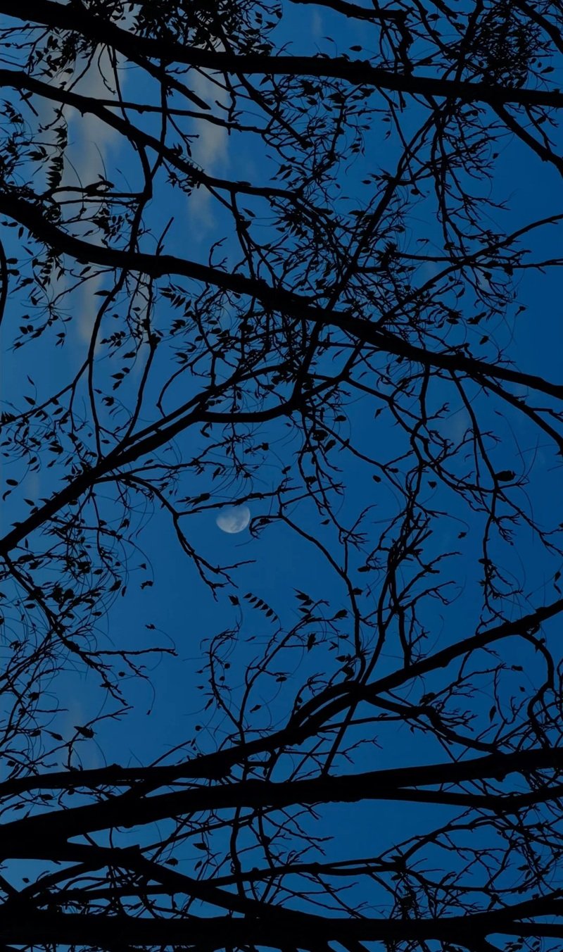 ảnh bầu trời buồn tâm trạng 10