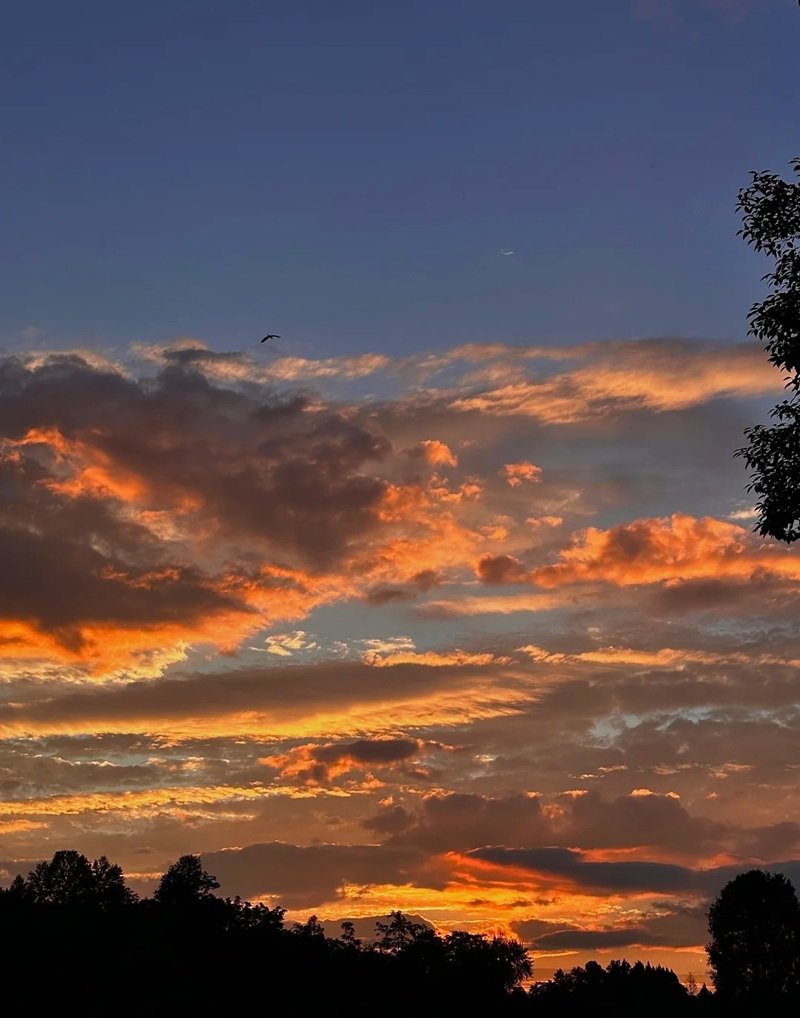 ảnh bầu trời buồn tâm trạng 20