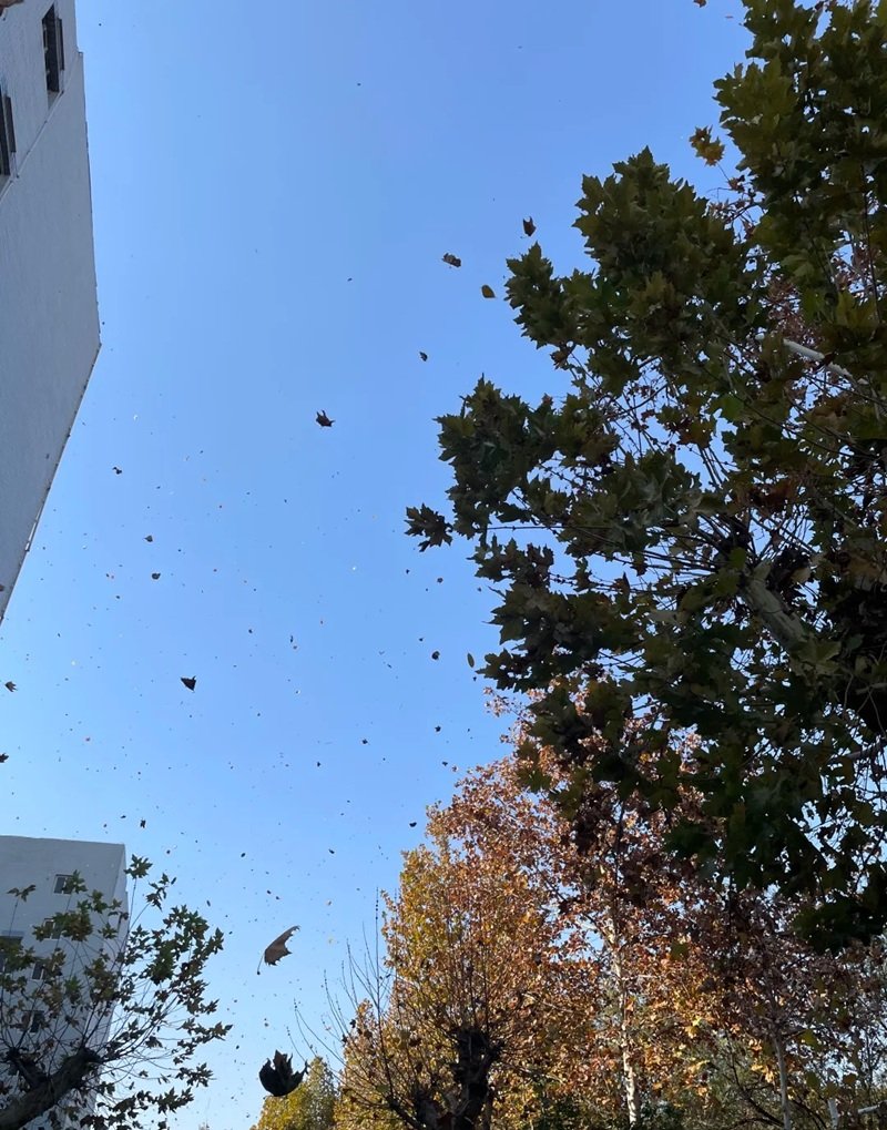 ảnh bầu trời buồn tâm trạng 34