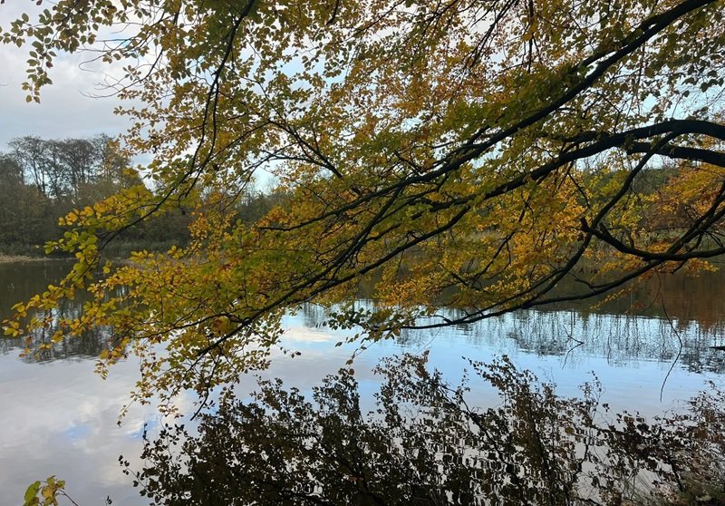 ảnh bìa tâm trạng 37