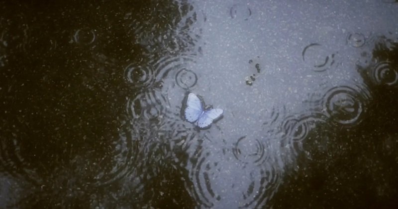 ảnh bìa zalo buồn 9