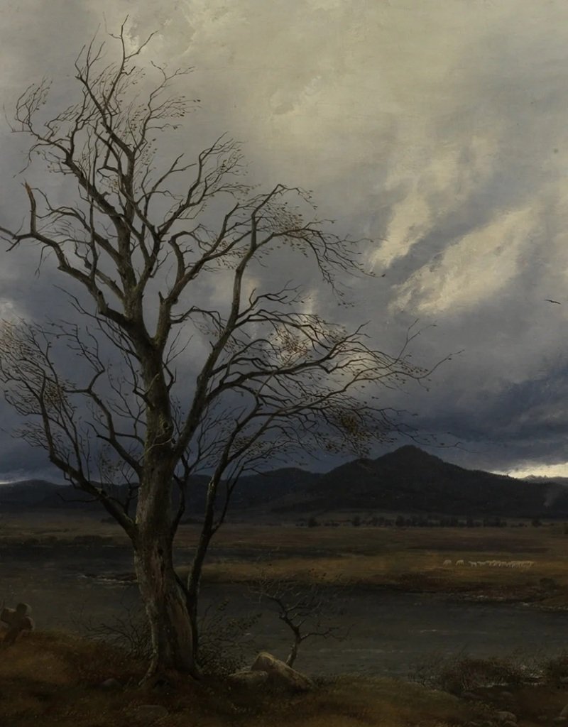 ảnh cây cối buồn 35