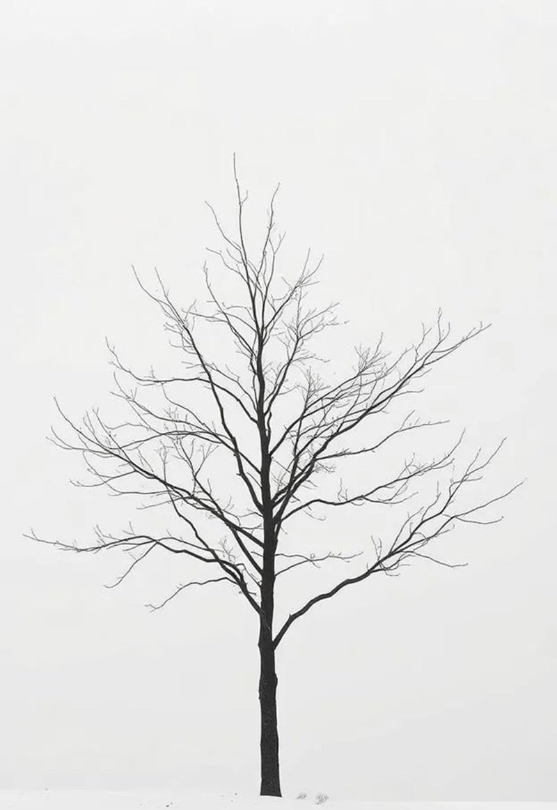 ảnh cây cối buồn 4