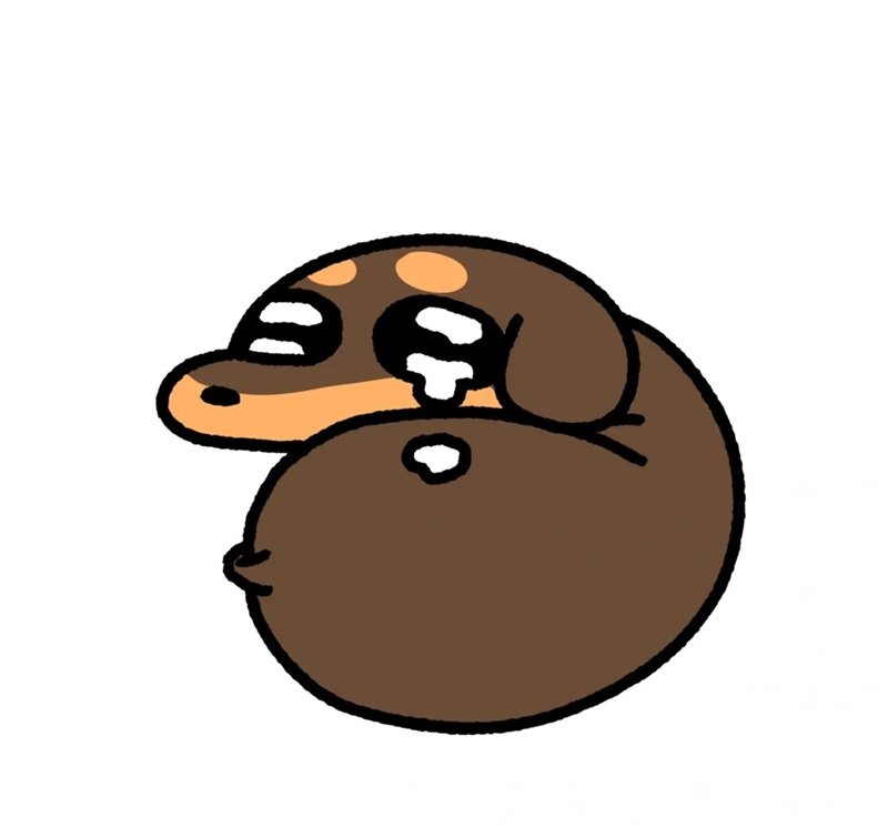 ảnh chó buồn 15