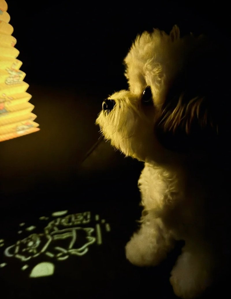 ảnh chó buồn 22