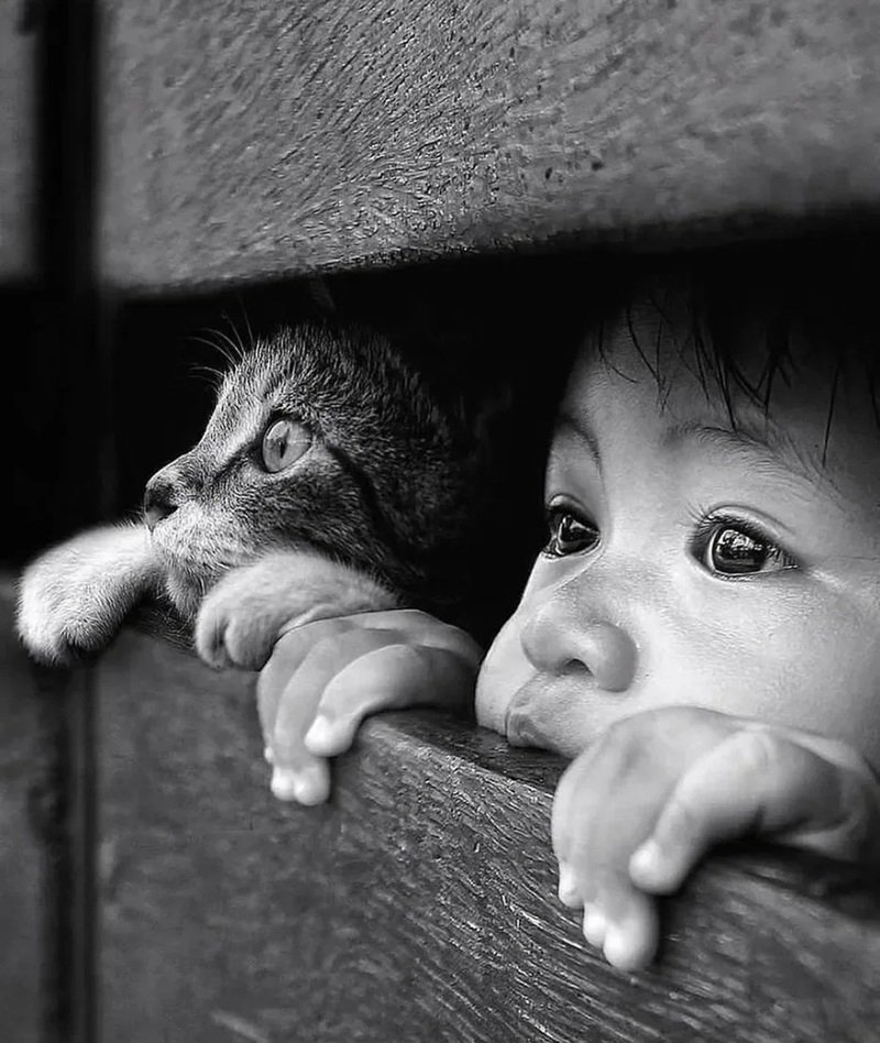 ảnh đen trắng tâm trạng 11