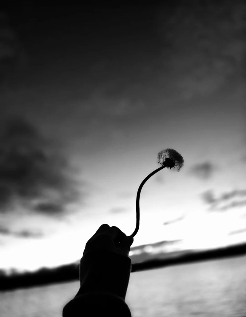 ảnh đen trắng tâm trạng 30