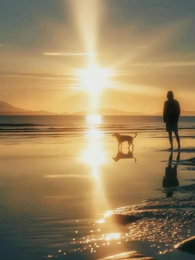 Tổng Hợp 77+ Ảnh Buồn Nam Chất Đậm Chất Riêng