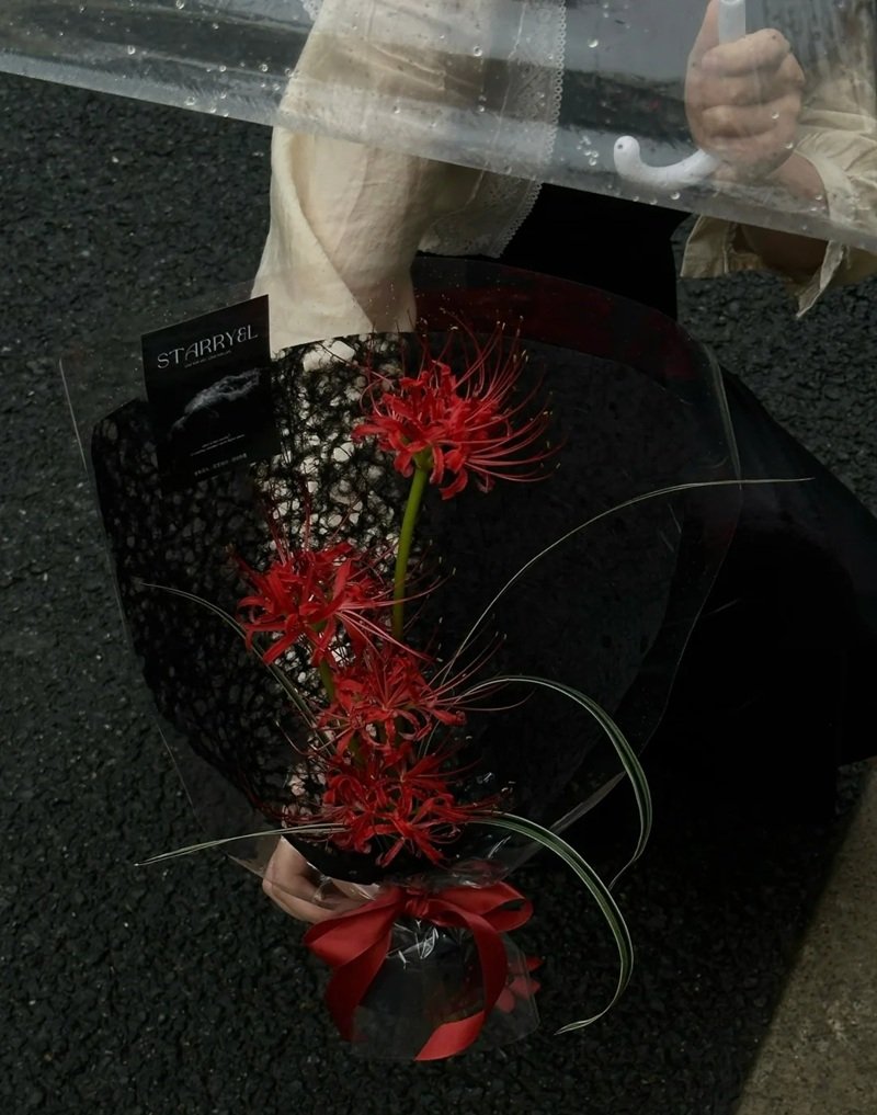 ảnh hoa bỉ ngạn buồn 11