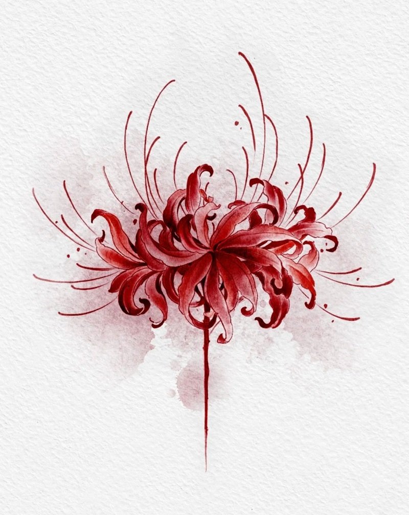 ảnh hoa bỉ ngạn buồn 32