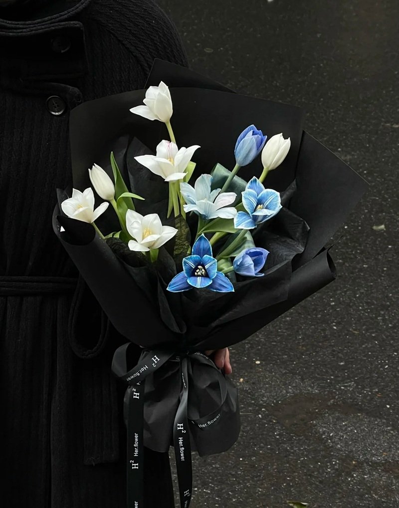 ảnh hoa tulip buồn 13