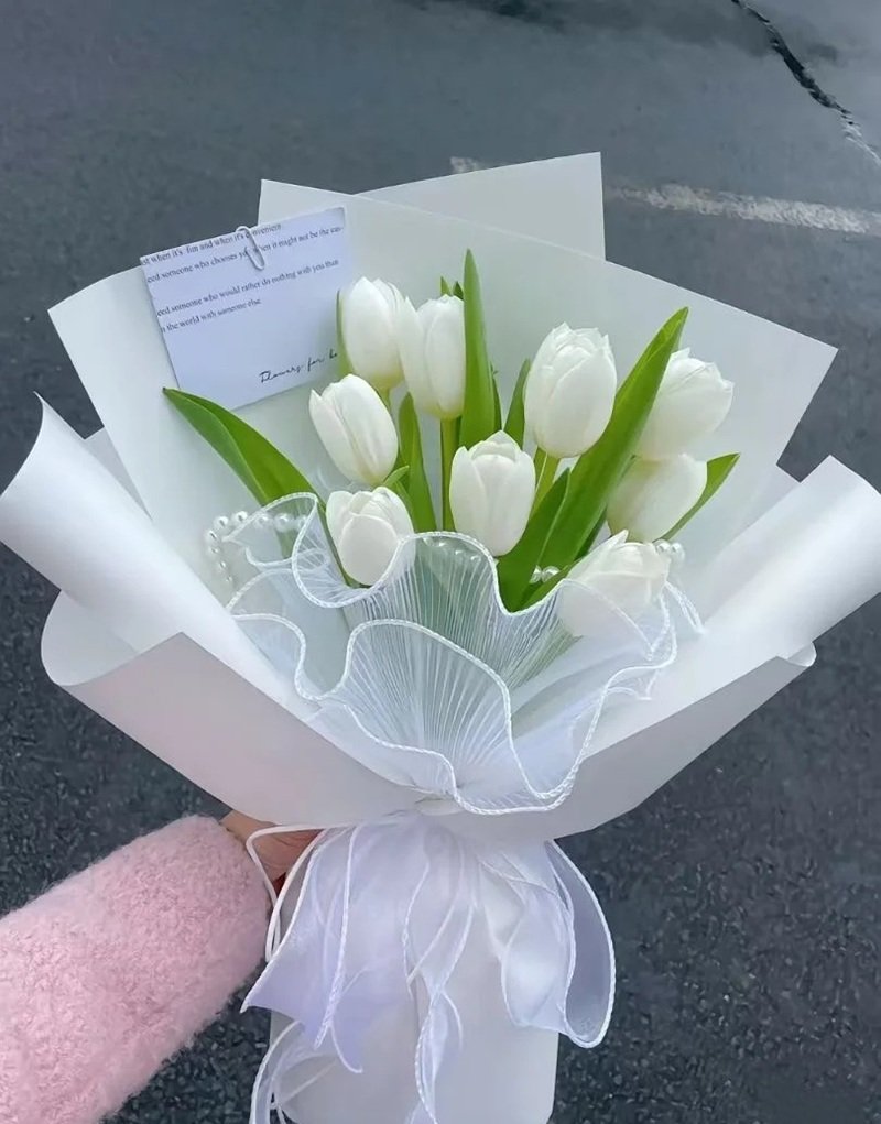 ảnh hoa tulip buồn 14