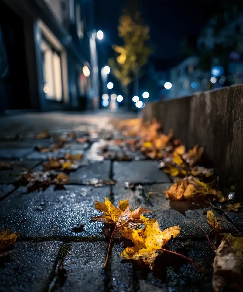 ảnh lá rụng buồn 29