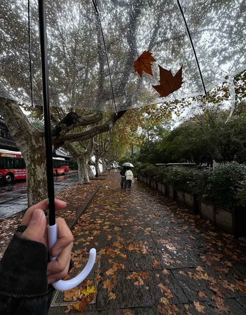 ảnh lá rụng buồn 40