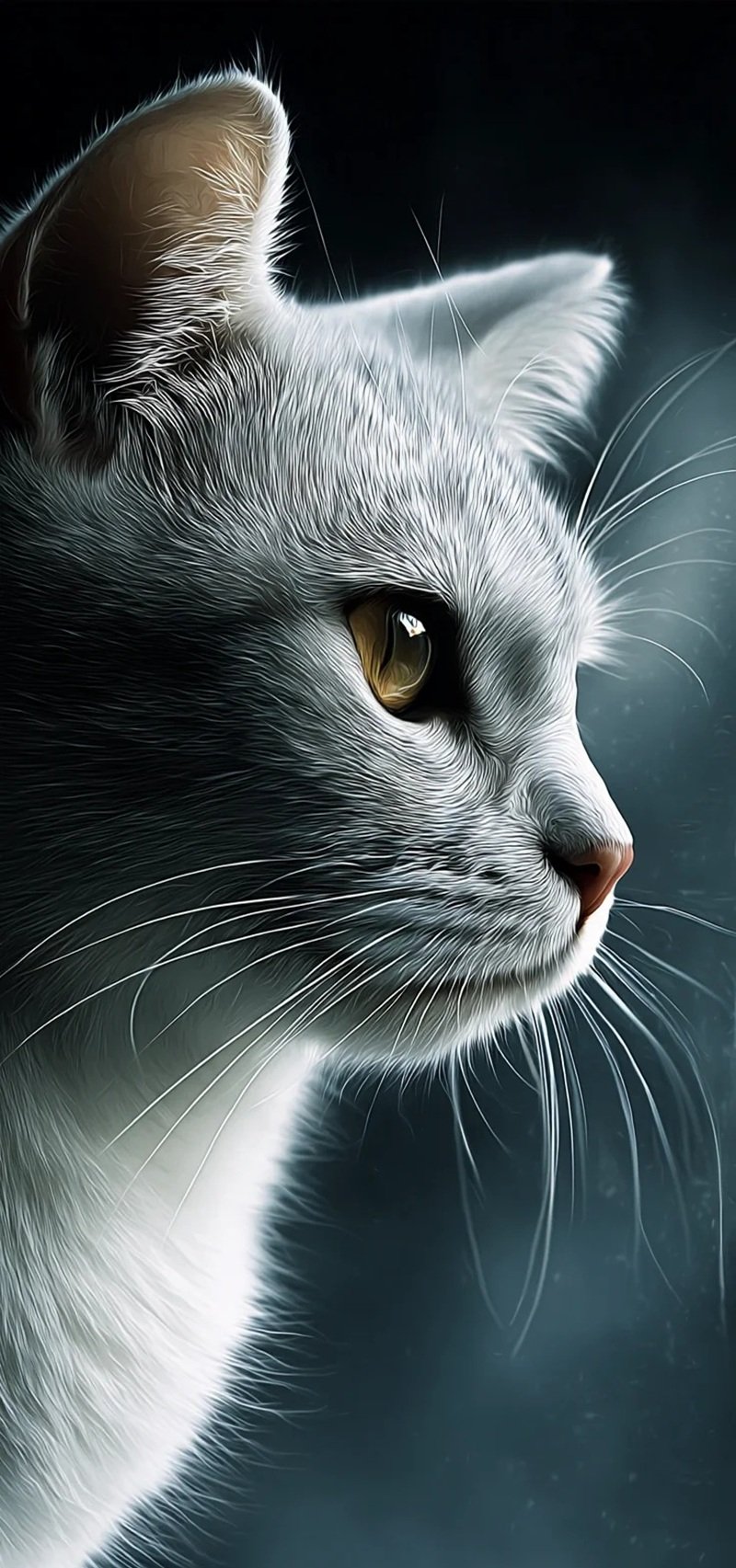 ảnh mèo buồn tâm trạng 11