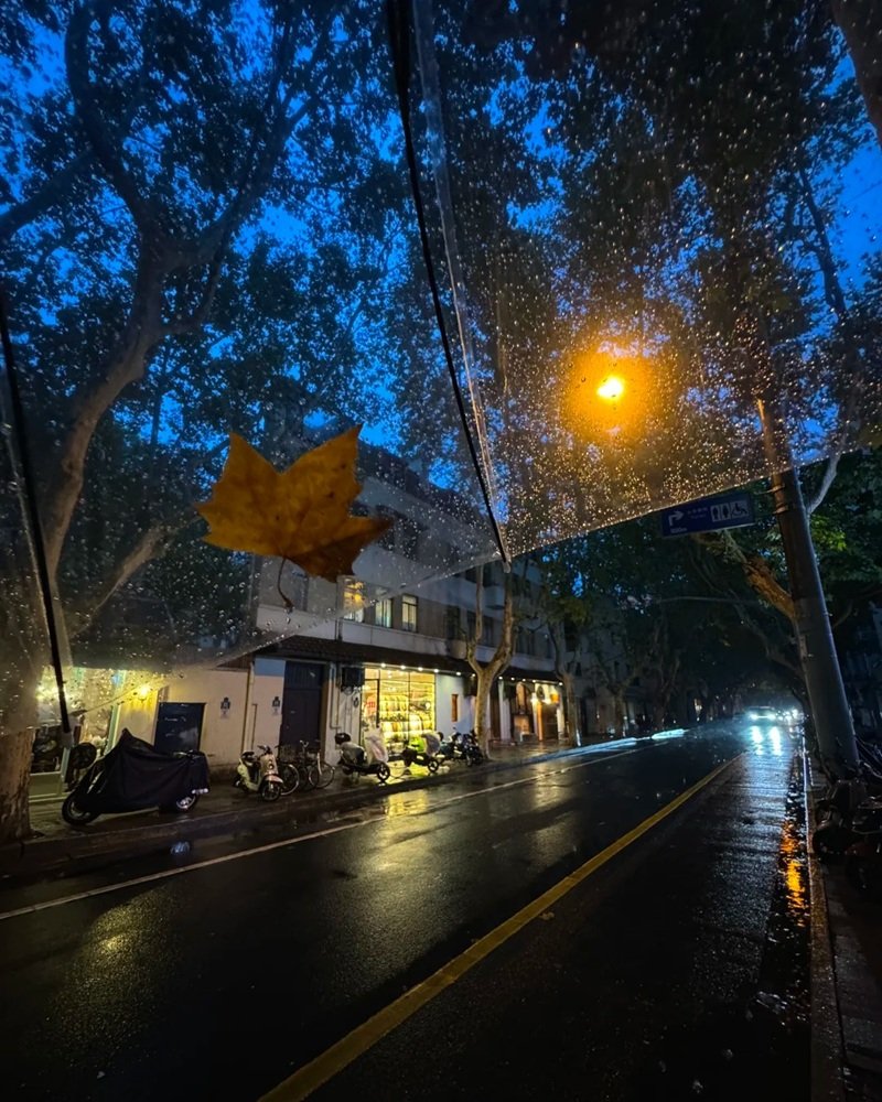 ảnh mưa buồn 30