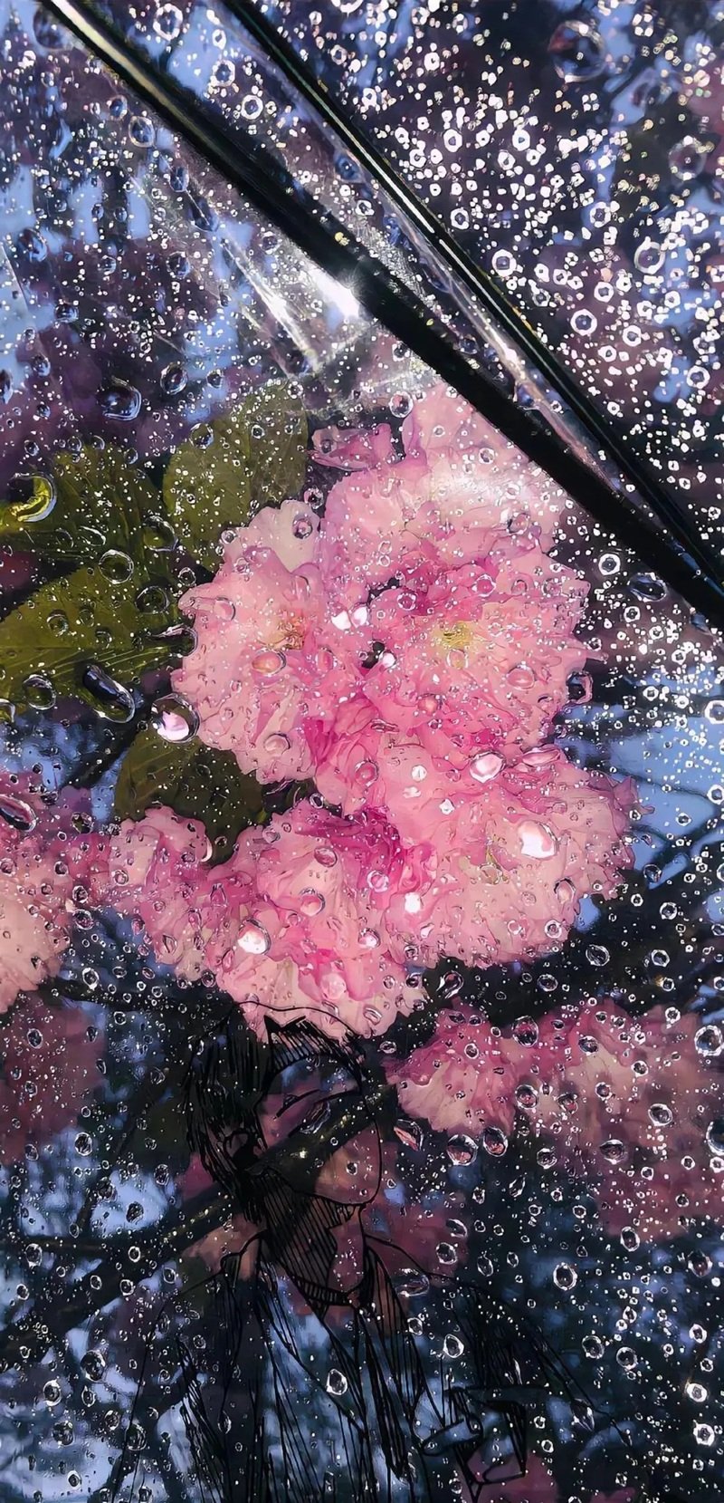 ảnh mưa buồn 34