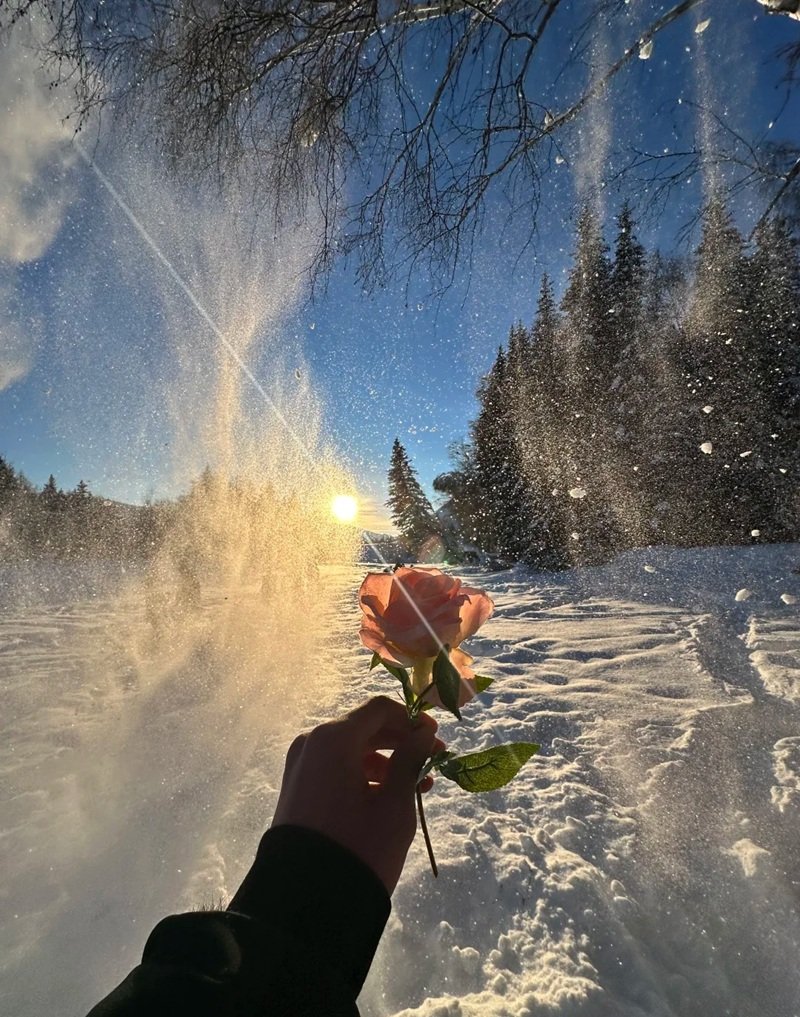 ảnh phong cảnh buồn 14