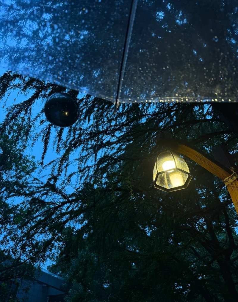 ảnh phong cảnh buồn 23