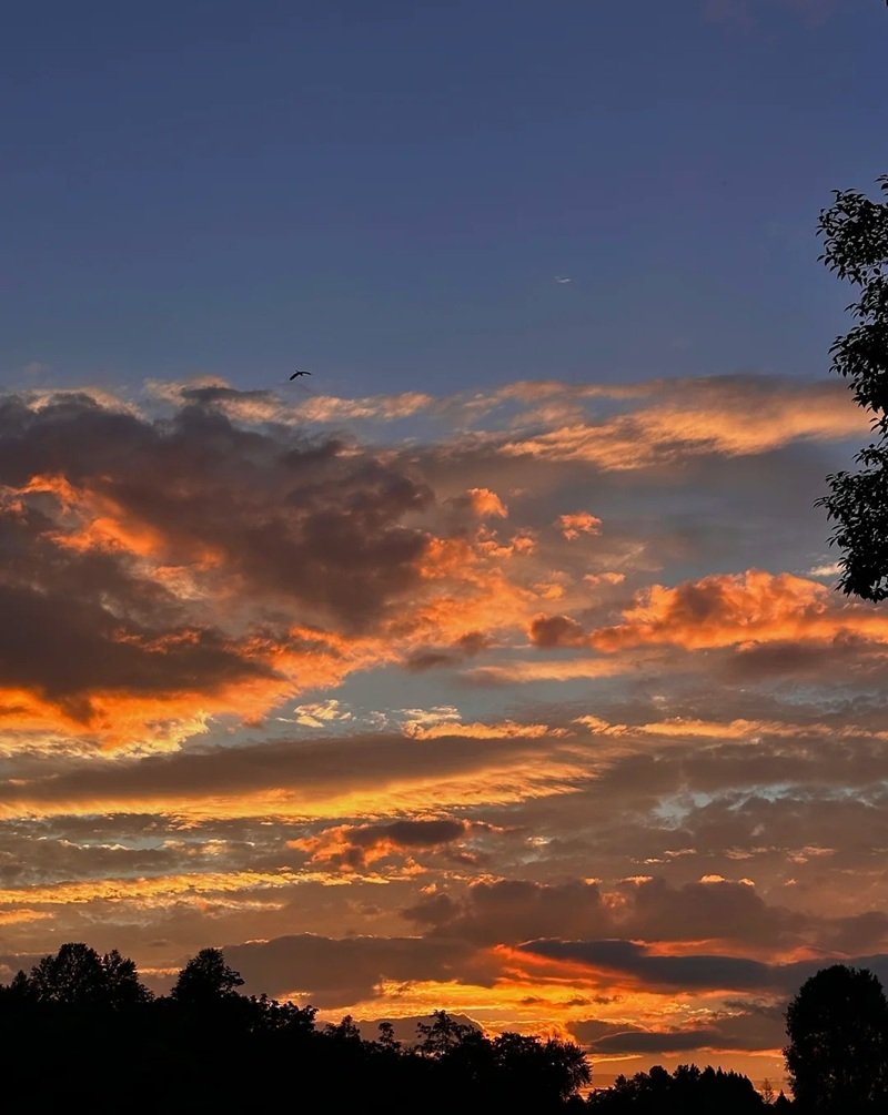 ảnh phong cảnh buồn 29