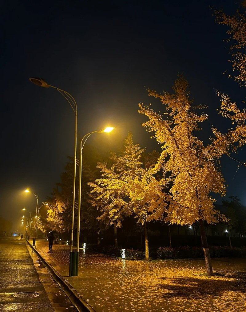 ảnh phong cảnh buồn 35