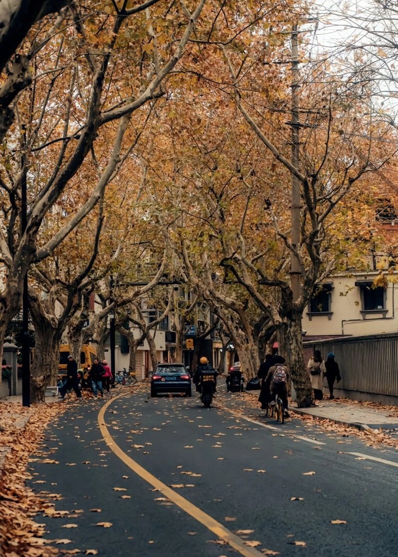 ảnh phong cảnh buồn 37