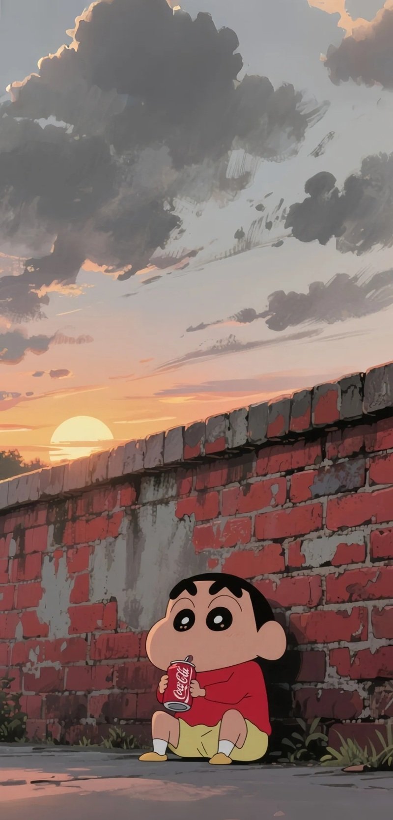 ảnh shin buồn 14