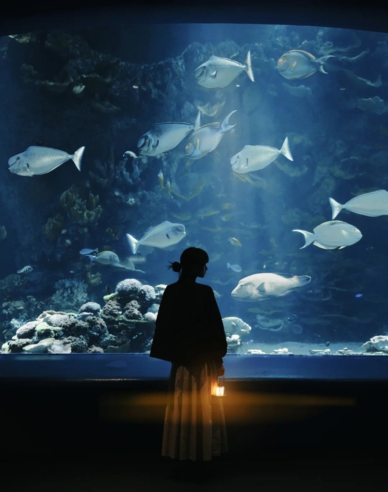 ảnh story tâm trạng 24