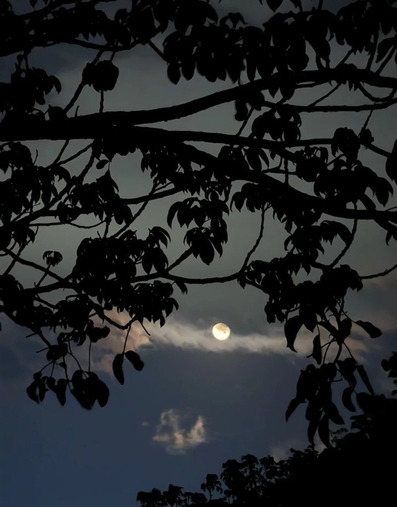 ánh trăng buồn 11