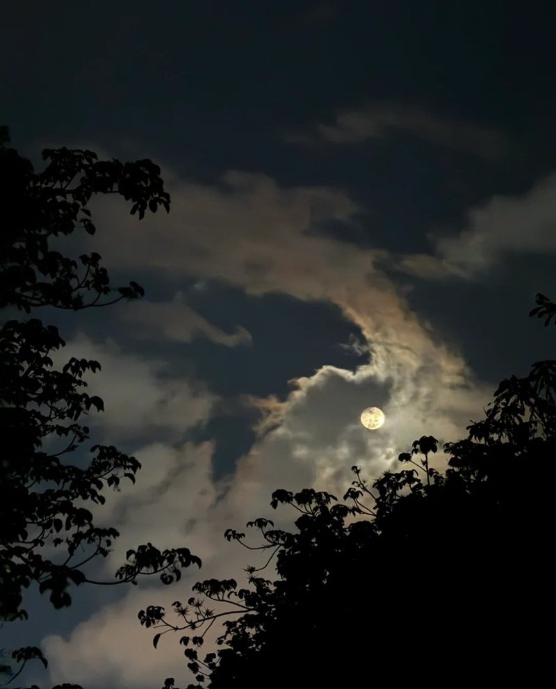 ánh trăng buồn 12