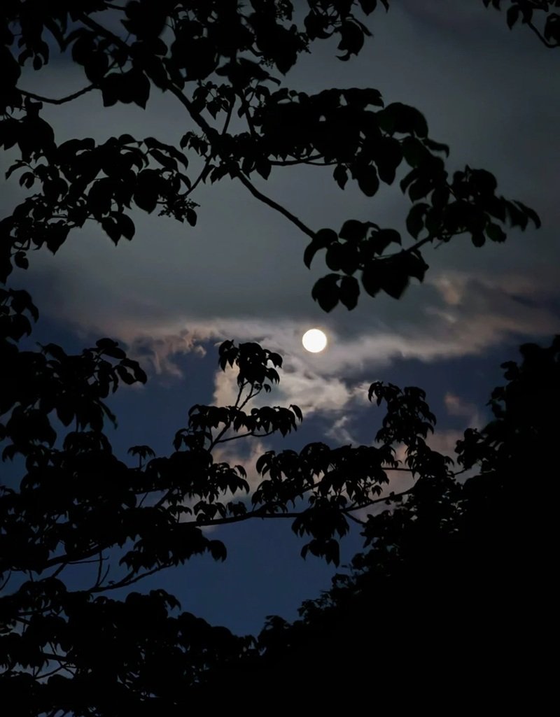 ánh trăng buồn 13