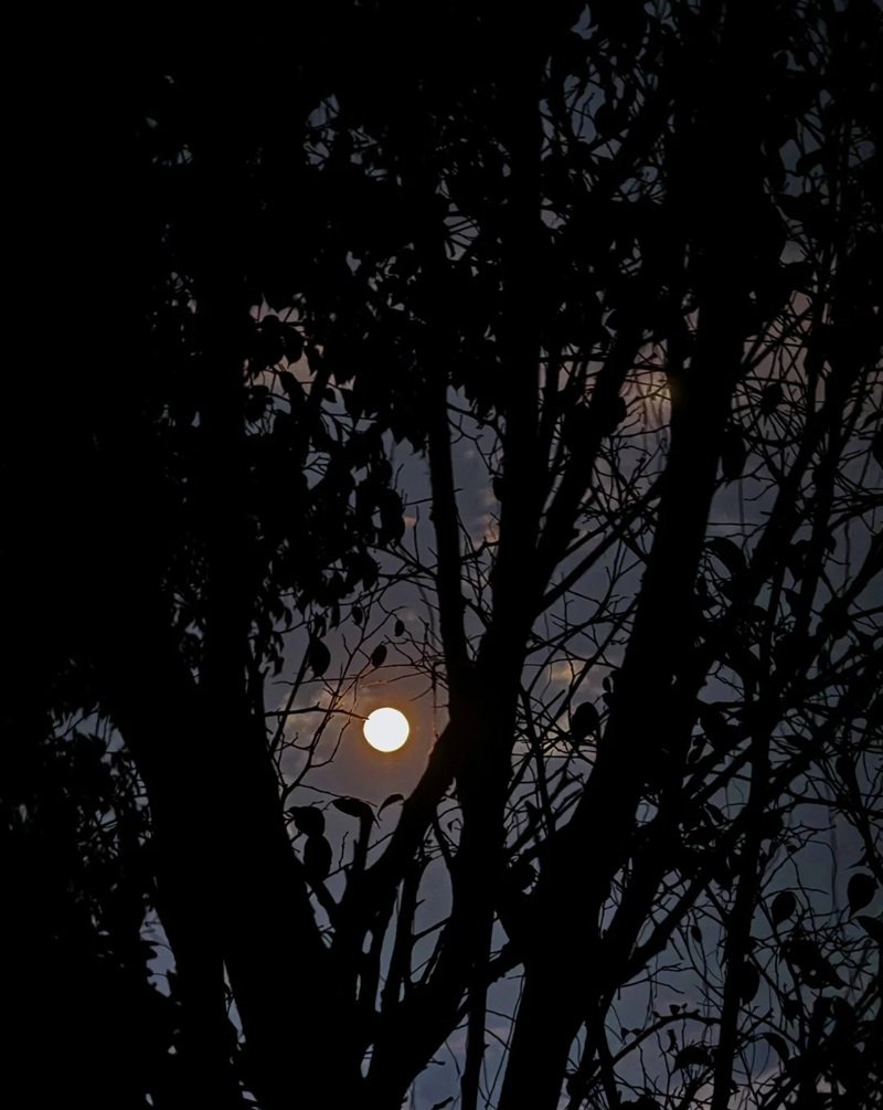 ánh trăng buồn 15