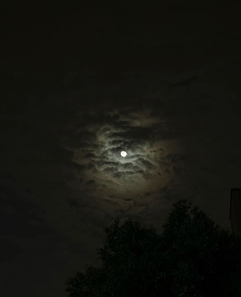 ánh trăng buồn 2