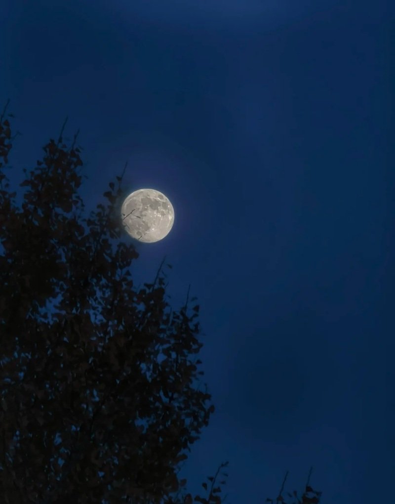 ánh trăng buồn 3