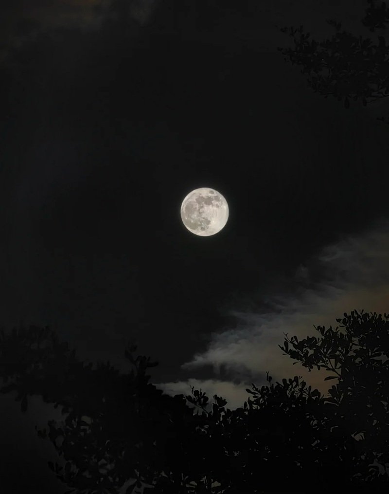 ánh trăng buồn 41