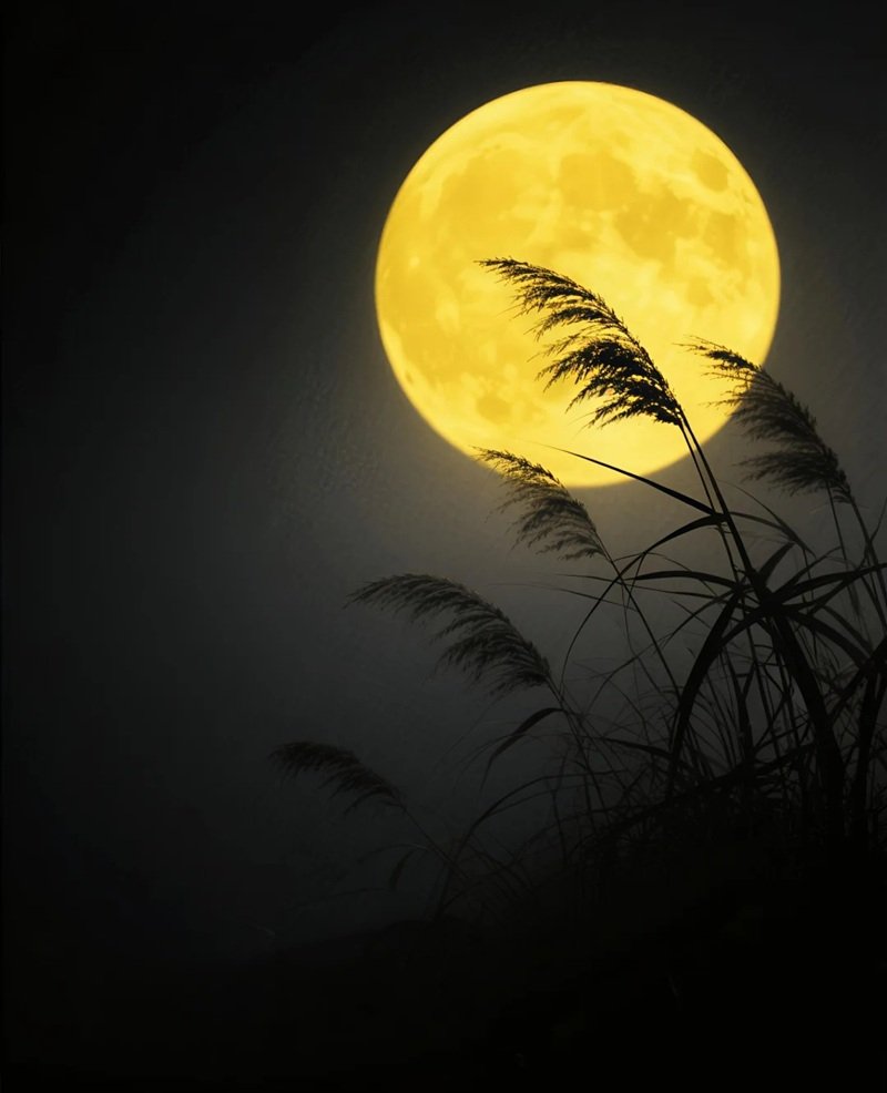 ánh trăng buồn 48