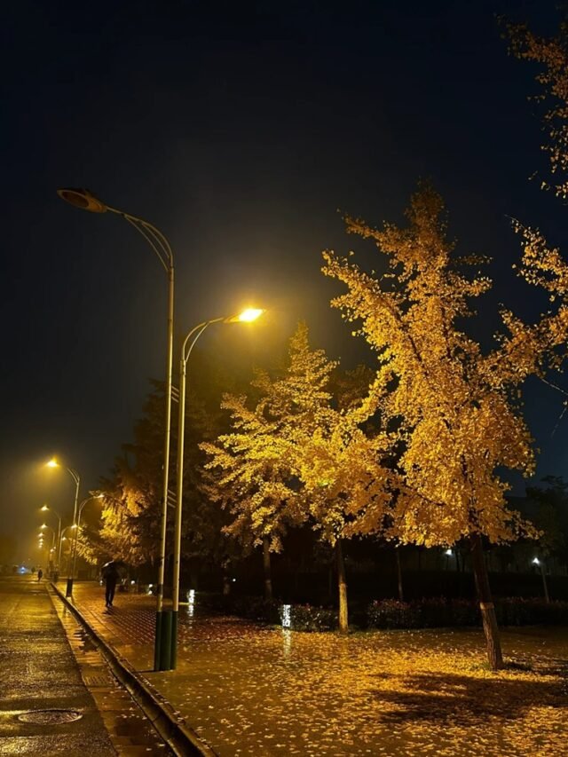 86+ Ảnh phong cảnh buồn mang hơi thở của sự cô quạnh