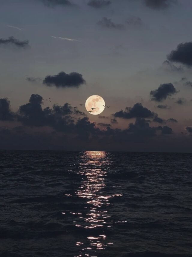 94+ ảnh ánh trăng buồn dành cho tâm trạng trống rỗng