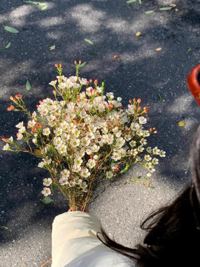 Top 89+ chill ảnh bó hoa buồn chạm đúng mood cô đơn