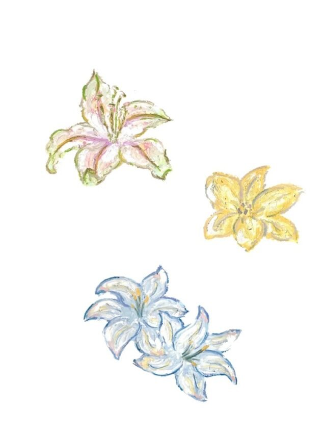 Xu hướng  80+ sticker bông hoa đang gây sốt khắp cõi mạng