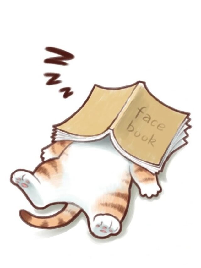 Khám phá 88+ sticker mèo độc đáo và siêu cute