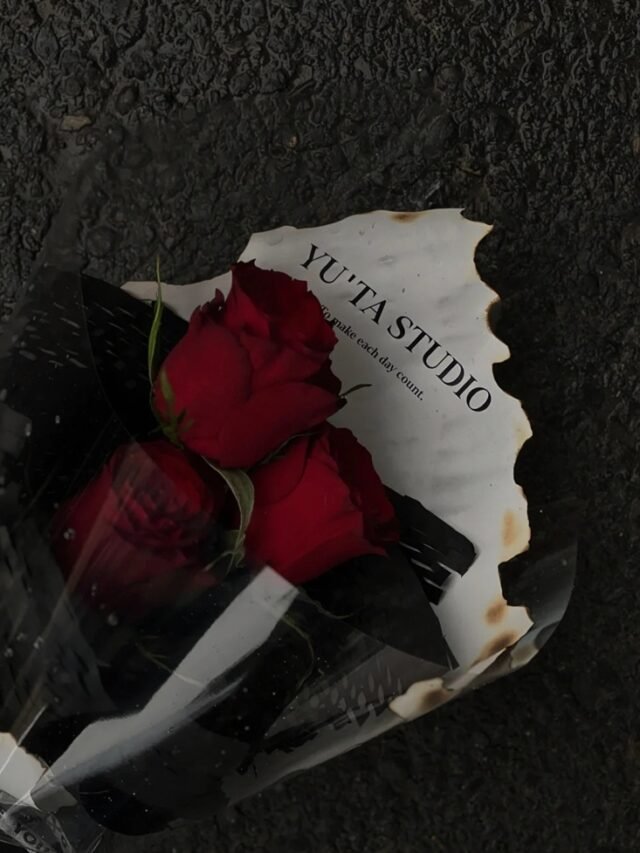 Tâm Trạng Ảnh Hoa Buồn – Nhẹ Nhàng Mà Đầy Cảm Xúc