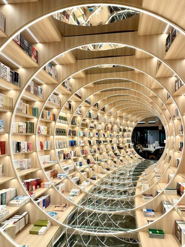 Khám phá 88+ ý tưởng xếp sách xịn sò cực chill