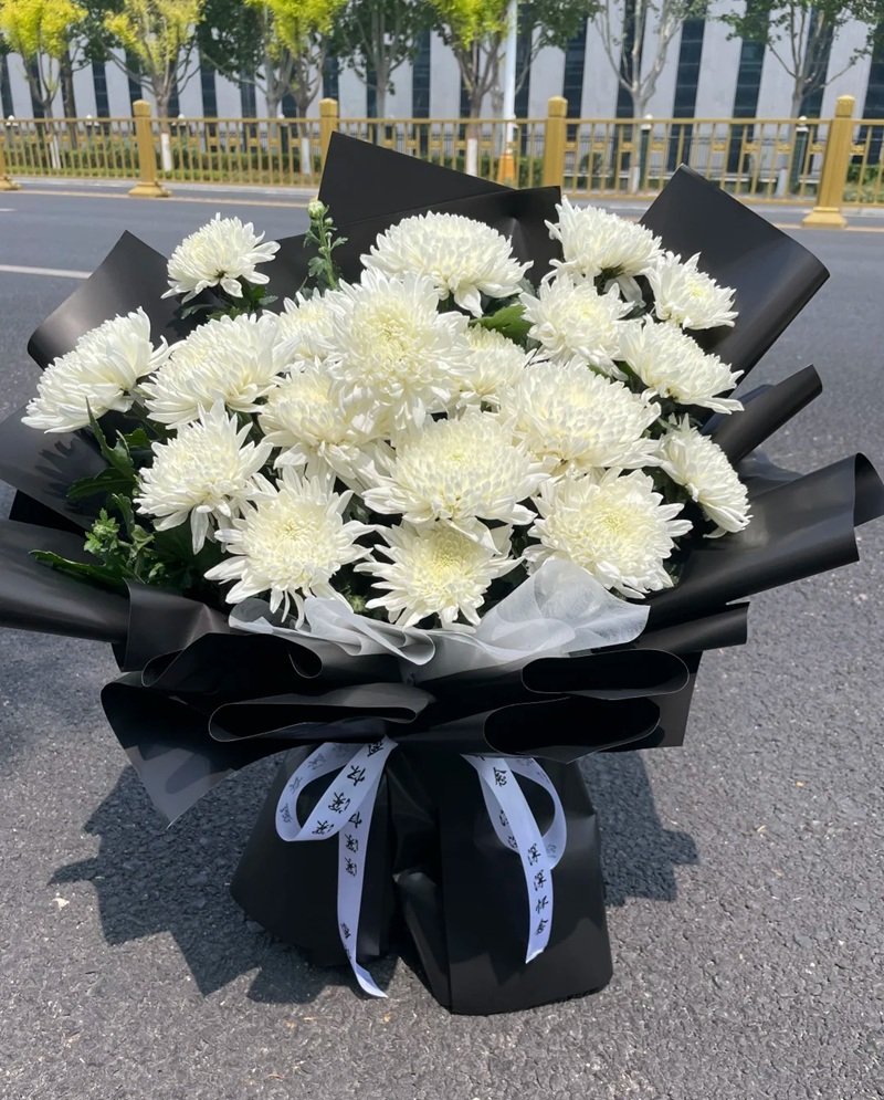 hình ảnh hoa cúc trắng buồn 3