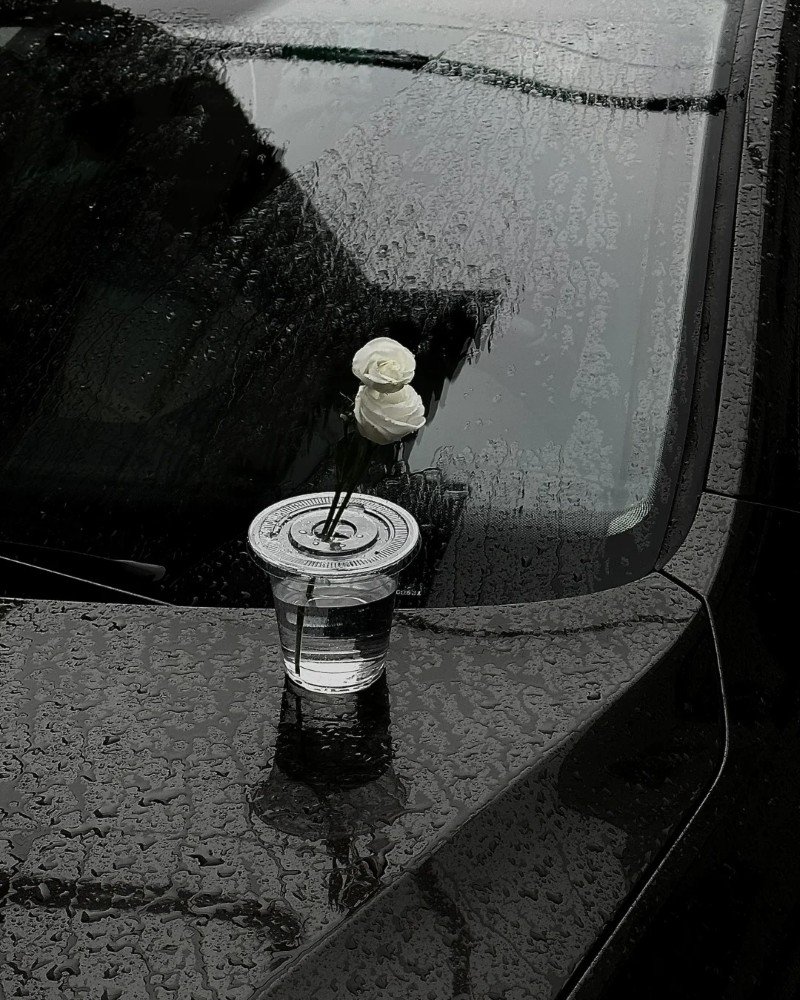 hình ảnh mưa buồn 13