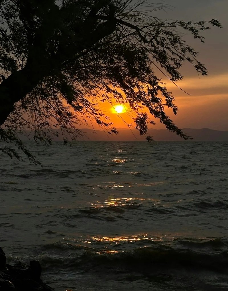 hình ảnh phong cảnh tâm trạng buồn 1