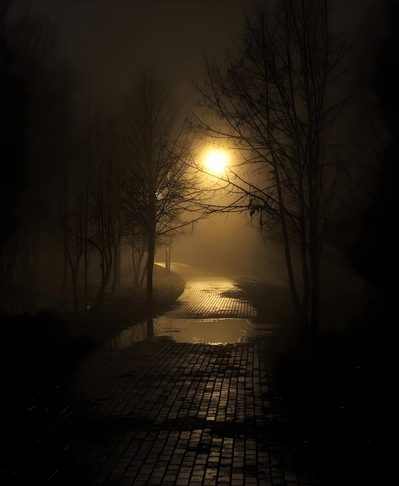 hình ảnh phong cảnh tâm trạng buồn 12