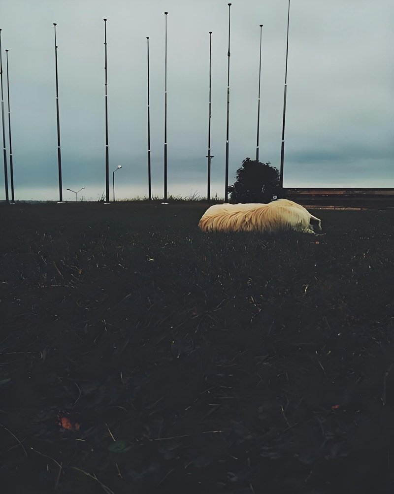 hình ảnh phong cảnh tâm trạng buồn 13