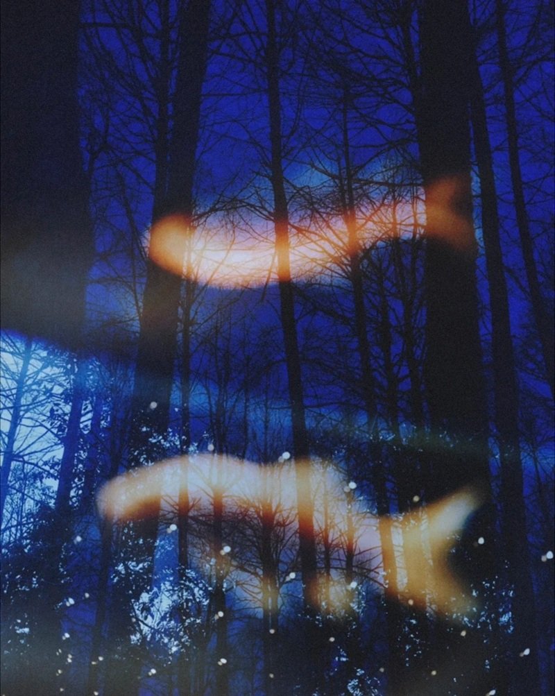 hình ảnh phong cảnh tâm trạng buồn 15