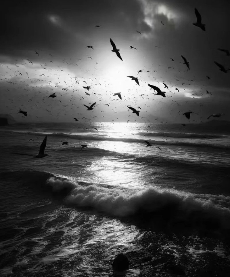 hình ảnh phong cảnh tâm trạng buồn 21